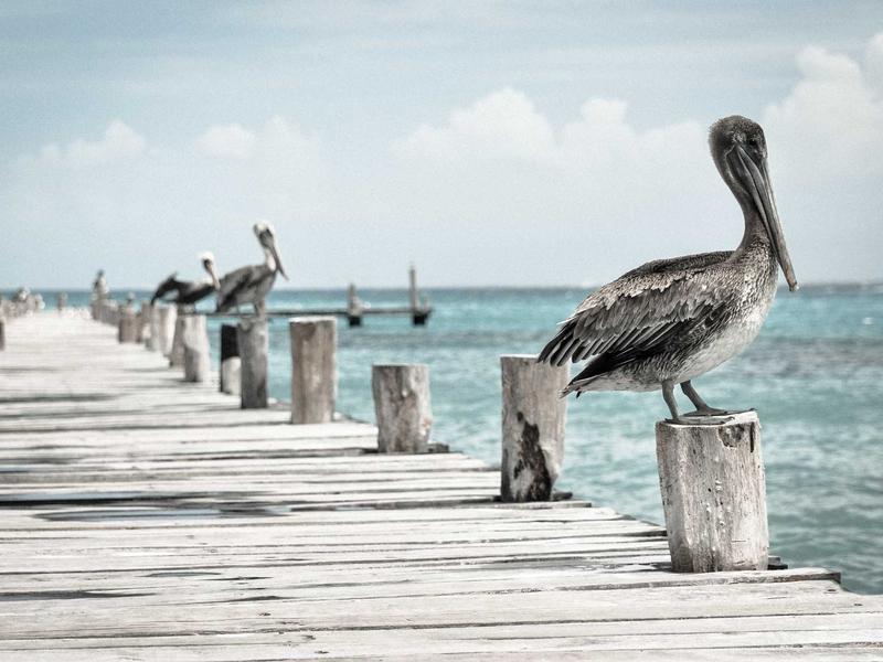夸克禁闭<br>ljvwvuu.cn 质子中子内部
